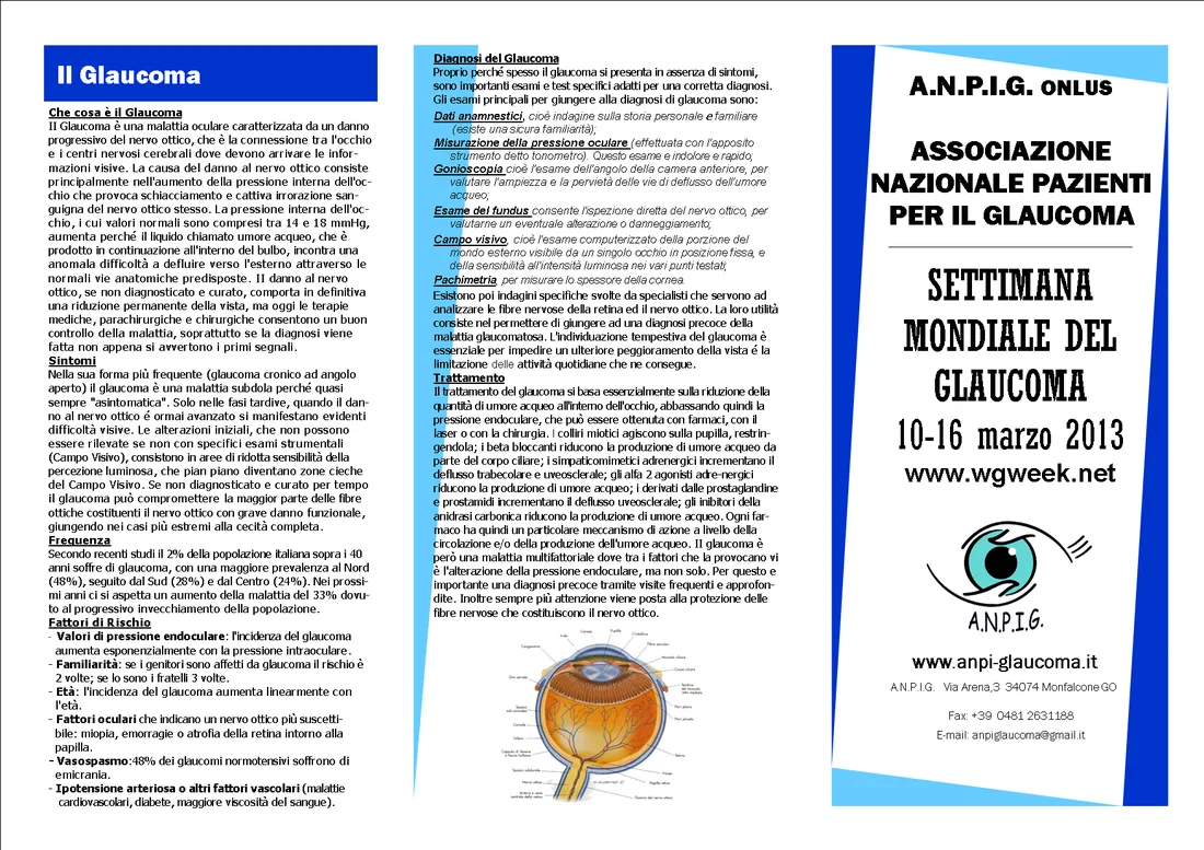 Manifesto della Settimana Mondiale del Glaucoma 2013 di ANPIG